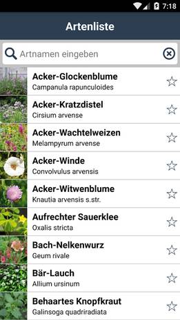 Artenliste der App 'Bienenpflanzen für den Garten'
