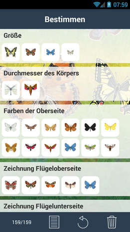 Bestimmungsschlüssel der App 'Tagaktive Schmetterlinge'