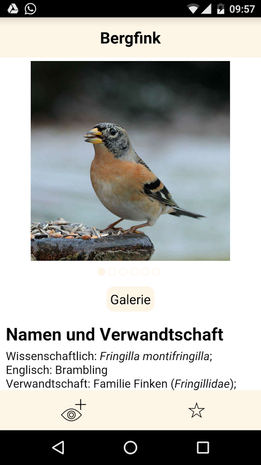 Weiteres Beispiel für ein Artporträt im Artenlexikon-Teil der NaturApps
