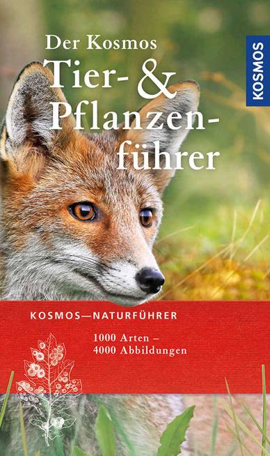 Frank Hecker, Der Kosmos Tier- & Pflanzenführer (Cover)
