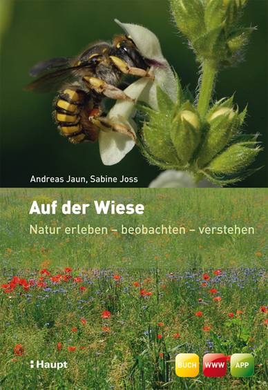 Jaun, Andreas / Joss, Sabine, Auf der Wiese (Cover)