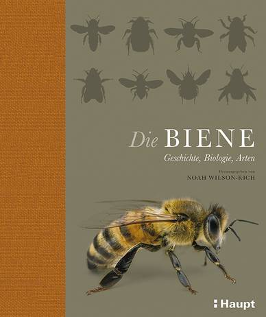 Noah Wilson-Rich (Hrsg.), Die Biene (Cover)