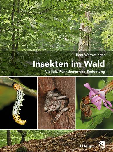 Beat Wermlinger, Insekten im Wald (Cover)