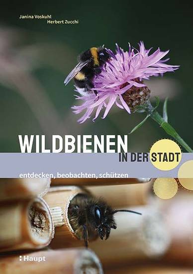 Cover des Buches 'Wildbienen in der Stadt'