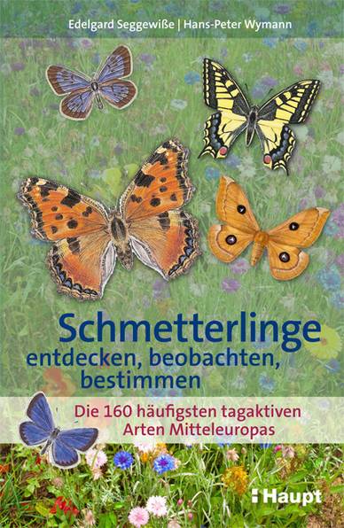 Cover des Buches 'Schmetterlinge entdecken, beobachten, bestimmen'