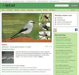 naturwerke.net-Seite des Projektpartners Birdnet.de