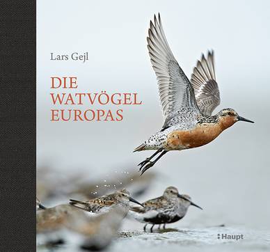 Buch 'Die Watvögel Europas'