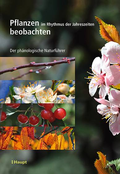 Buchcover 'Pflanzen im Rhythmus der Jahreszeiten beobachten'