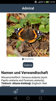 Artporträt in der App 'Zeit der Schmetterlinge'