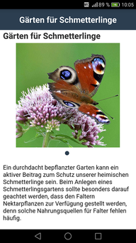 Themenbezogene Hintergrundinfos in der App 'Zeit der Schmetterlinge'