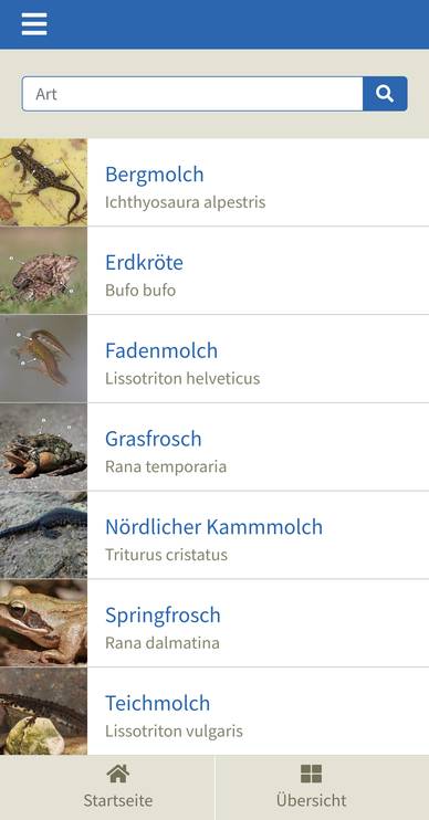 Übersicht Amphibienporträts der WebApp NABU Kröten & Co.