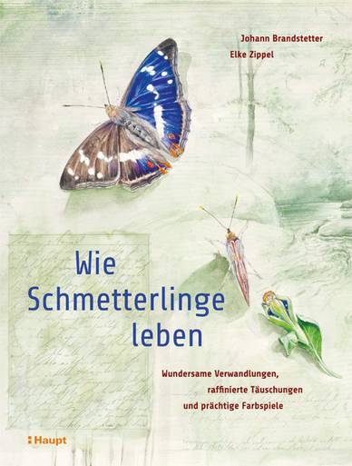 Cover des Buches 'Wie Schmetterlinge leben'