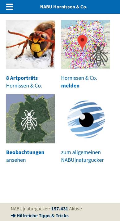 Startseite der WebApp Hornissen & Co.