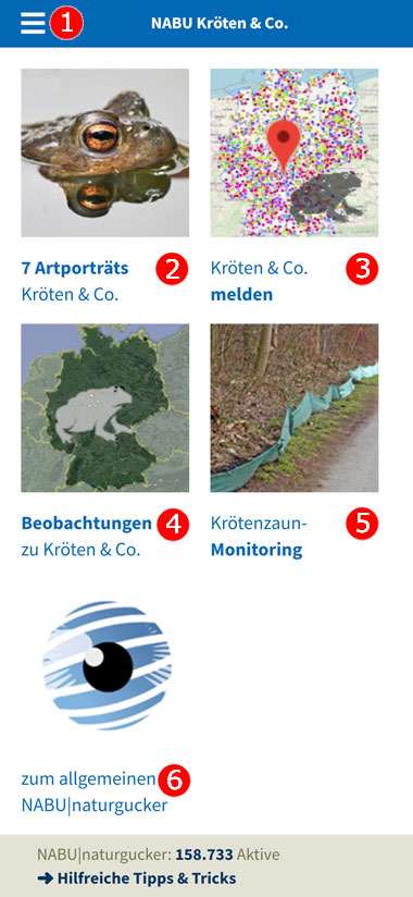 Startseite der WebApp NABU Kröten & Co.