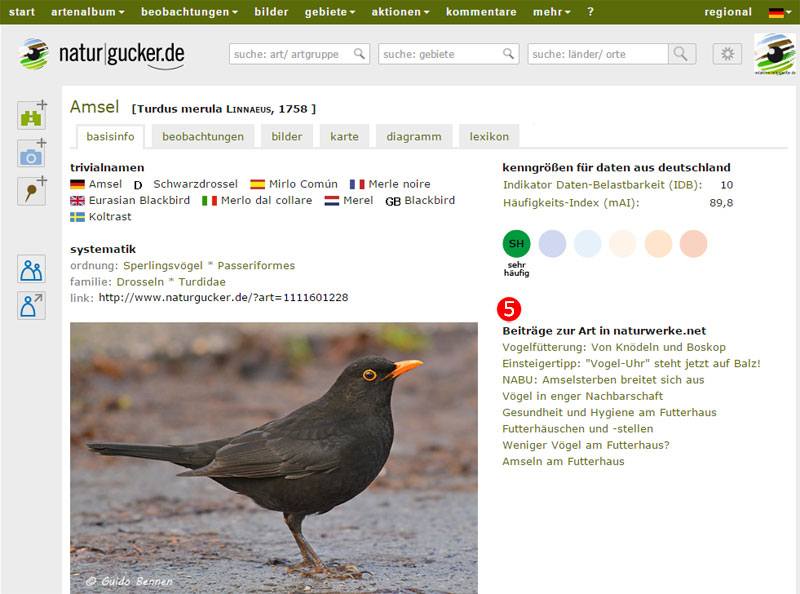 Im allgemeinen Bereich der Artprofile auf naturgucker.de finden sich die Verknüpfungen zu Artikeln aus naturwerke.net