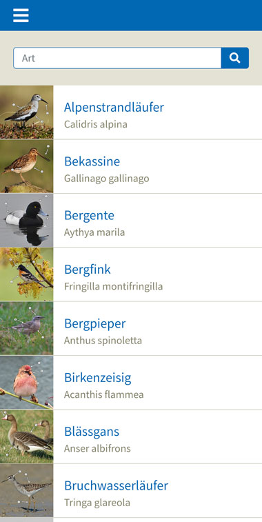 Übersicht Vogelporträts der WebApp NABU Birdwatch