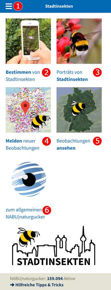 Startseite der WebApp Stadtinsekten und ihre Bedienelemente